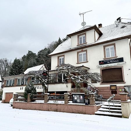 Obersteinbach Au Wachtfels B&B 외부 사진