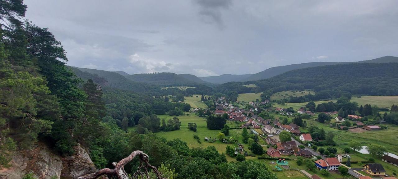 Obersteinbach Au Wachtfels B&B 외부 사진