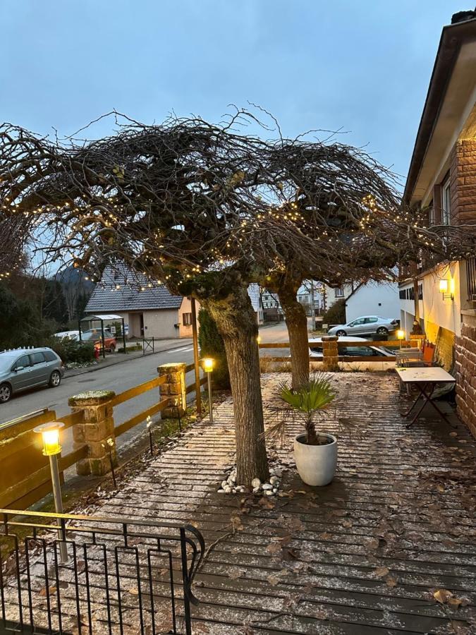 Obersteinbach Au Wachtfels B&B 외부 사진