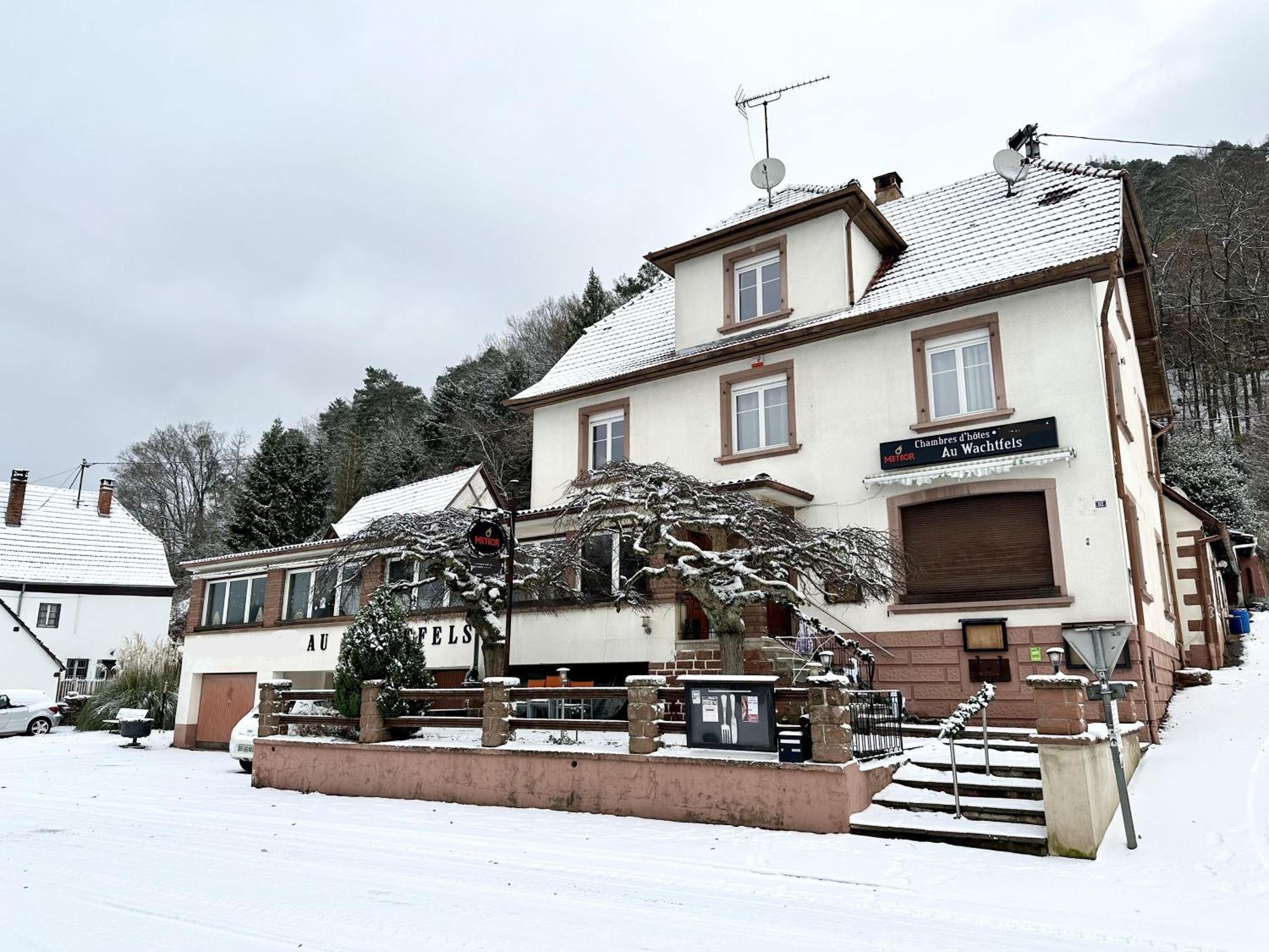 Obersteinbach Au Wachtfels B&B 외부 사진